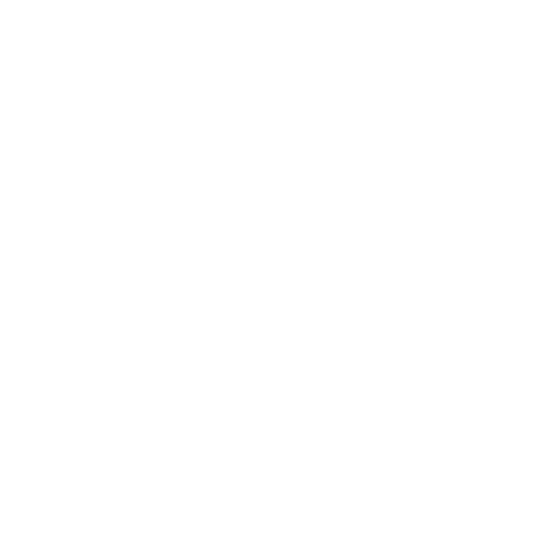 Logo Dacia inspección automática de carrocerías y acabados