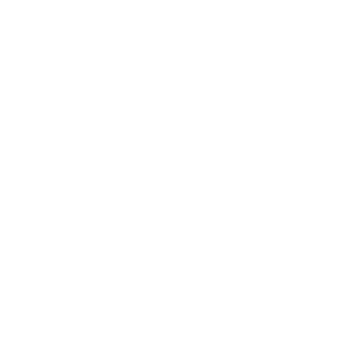 logo mercedes control de calidad y defectos de pintura en línea