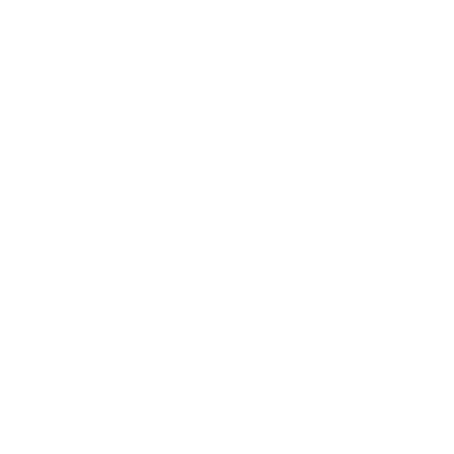 Logo Nissan inspección automática de carrocerías y acabados